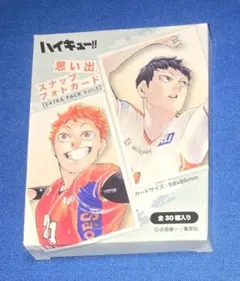 ハイキュー　思い出スナップフォトカード　セット