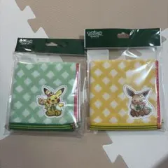 ポケパーク カントー ピカチュウ イーブイ タオルハンカチ 2枚セット ポケモン