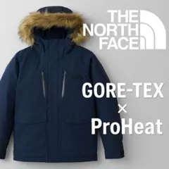 ノースフェイス GORE-TEX マウンテンパーカー ファー付き 防寒