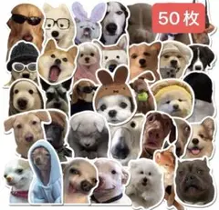 suzy330様 リクエスト 2点 まとめ商品