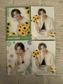 八木勇征 SUNFLOWER フォトカード フォトカ シクレ ノーマル