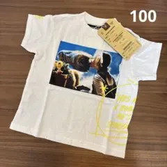 Item thumbnail for item 6ad8c89e-23b9-4f92-8867-5405a91e457b