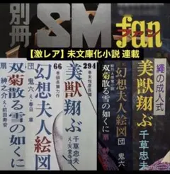 絶版】秘小説95年2月 千草忠夫 結城彩雨 前田寿按 楡畑雄二 椋陽児