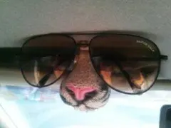 Item thumbnail for item fd2a06d3-1e9b-4274-b4fb-2cf2d657c0b8