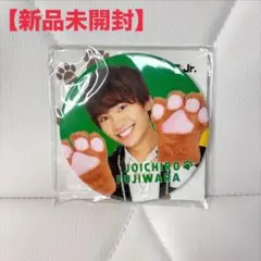 【即購入可‼️】Happy New ワン Year 藤原丈一郎 缶バッジ　2018