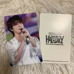 SEVENTEEN HOLIDAY ペンミ Blu-ray トレカ ディノ
