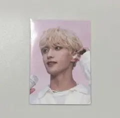 SEVENTEEN セブチ ムビチケ 特典トレカ ドギョム