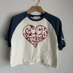 ROCK IN JAPAN FES 2024 Tシャツ ラグラン 25周年のサムネイル