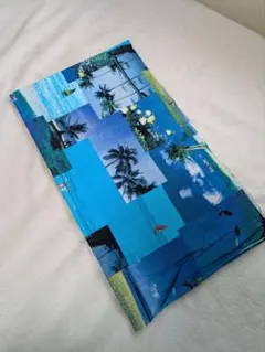 Item thumbnail for item b67e8841-bcb3-478e-834e-f9fae018035b