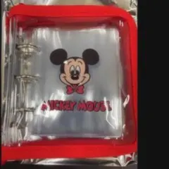 ★DISNEY STORE　 新品未使用　シークレット　 ギフト　プレゼント