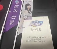 乃木坂46 柴田柚菜 直筆サイン入り　ミニのぼり