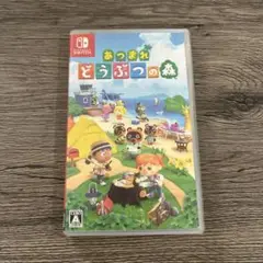 どうぶつの森　Nintendo Switch ソフト