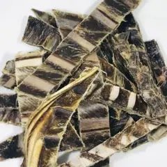 Item thumbnail for item 5812e68c-7e69-438d-b140-f5dfaa2e8802