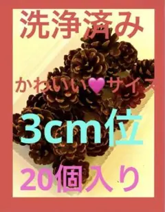 55❤️松ぼっくり❤️ 3cm位 20個セット