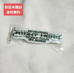 【未開封未使用】セブチ ライトヒア カプセルトイ ラバーバンド スングァン