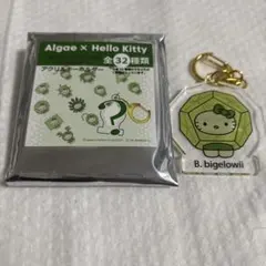 Hello Kitty アクリルキーホルダー B. bigelowi