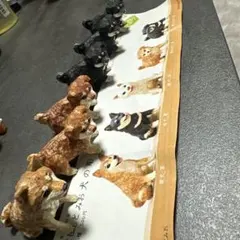 Item thumbnail for item a0a0cb4a-6627-4c28-bb15-c44b4e7bdcb5