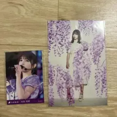 乃木坂46 与田祐希 サイン メッセージ - メルカリ