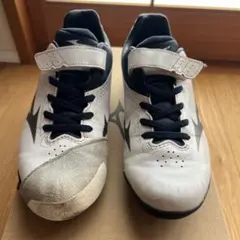 Item thumbnail for item 955e43fe-107f-4de1-af05-b144c0feeba8