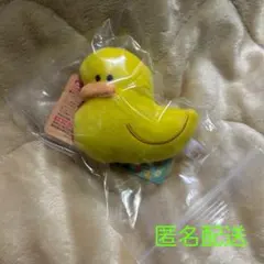 つぶらな瞳の温泉　あひる