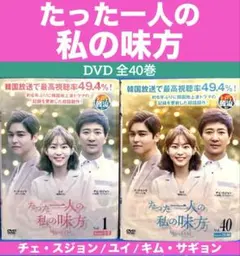 たった一人の私の味方 DVD 全40巻 チェ・スジョン /ユイ /キム・サギョンのサムネイル