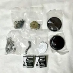 いきもの大図鑑 野生のネコ科動物 ユキヒョウ マヌルネコ