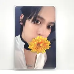KEYVITUP セナ SHOWCASE ショケ 入場特典トレカ - メルカリ