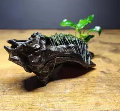 パワプロ様専用出品