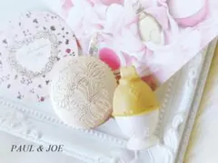 ⚜PAUL&JOEポール&ジョーアイカラー/レメルヴェイユーズラデュレ【2点】
