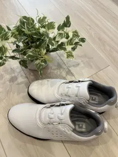 FOOTJOY プレミアムシリーズ 23cm レディース ゴルフシューズ - メルカリ