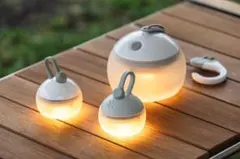 Item thumbnail for item f4d7a6e9-0592-4eb9-999b-5bfd426164cb