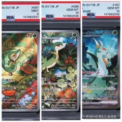 ジャローダex ジャノビー ツタージャ psa10 連番 - メルカリ