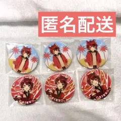 莉犬くん　すと9 缶バッジ　デフォ　等身　６個セット