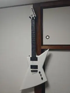 2026年最新】種類：エクスプローラタイプ エレキギターの人気アイテム