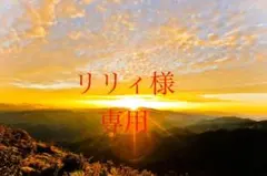 リリィ様専用　金運招来シール2つ