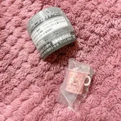 サンリオキャラクターズ レトロミニチュアチャーム2 おまけ付き