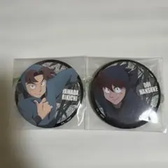 忍たま乱太郎てんぼうパーク 缶バッジ 土井半助