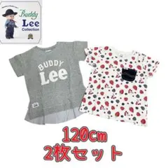 【Buddy Lee】女の子　半袖　Tシャツ　2枚セット　フリル　いちご