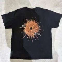 当時物☆美品☆Journey ジャーニー 2013年 ツアーTシャツ Sサイズ
