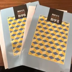 96 山口えみ：難関大化学 ⅠB・Ⅱ(入試実戦)の攻略 冬期講習 (東進