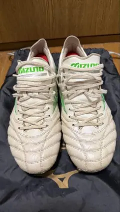 モレリアネオ4 JAPAN 26cm シューズキーパー付き