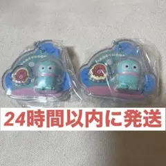 サンリオ　パッケージチャーム　ハンギョドン　2点