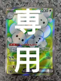 専用 プレイ用 SR 084/066 未来の一閃