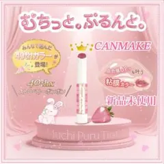♡CANMAKE♡むちぷるティント☆40thx☆限定カラー新品未使用