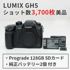 2025年最新】lumix gh5の人気アイテム - メルカリ