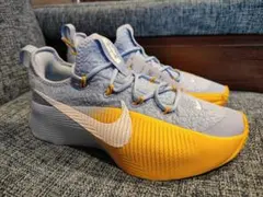 NIKE ナイキ レブロン TR1 - メルカリ