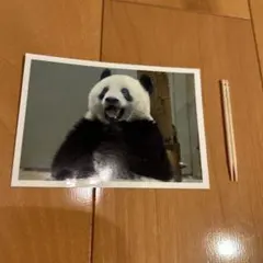 Item thumbnail for item 93e1541a-693e-429d-b61c-b9d528001c07