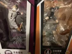 日向翔陽＆牛島若利 フィギュア