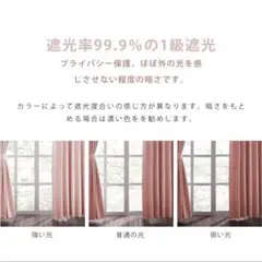 Item thumbnail for item 460bb987-1049-4a45-9a29-383115710d89