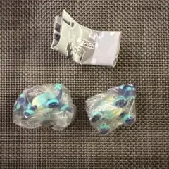 ポケモン スイングコレクション テラパゴス